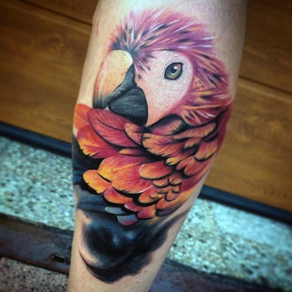 tatuagem papagaio 290