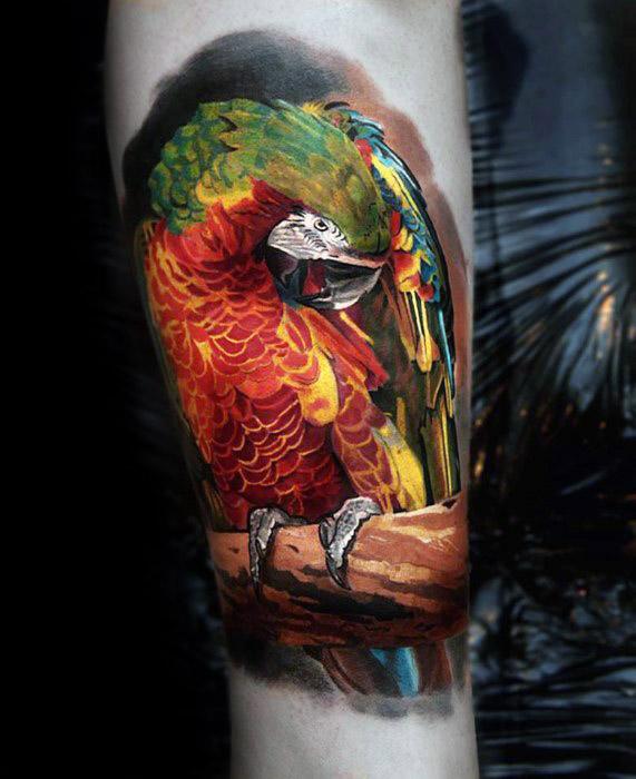 tatuagem papagaio 317