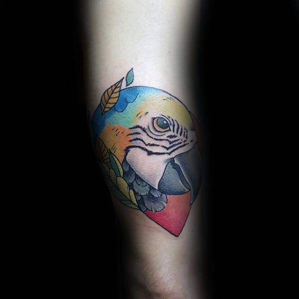 tatuagem papagaio 320