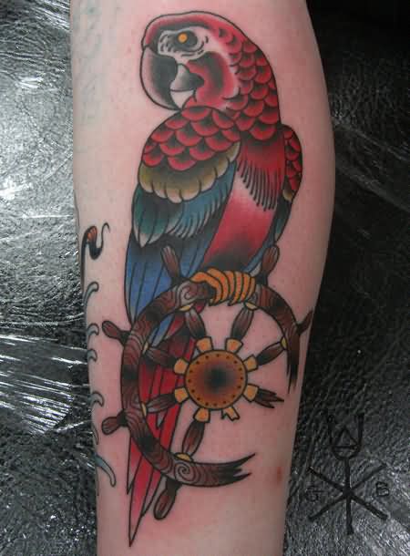 tatuagem papagaio 329