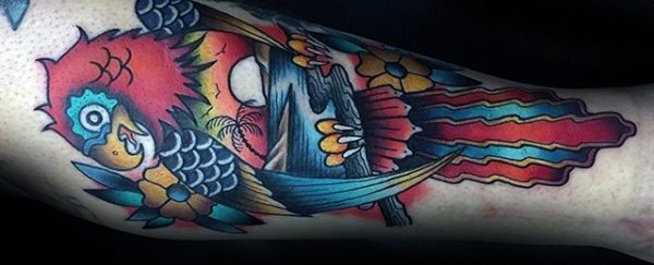 tatuagem papagaio 335