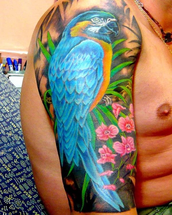 tatuagem papagaio 35