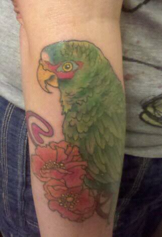 tatuagem papagaio 365