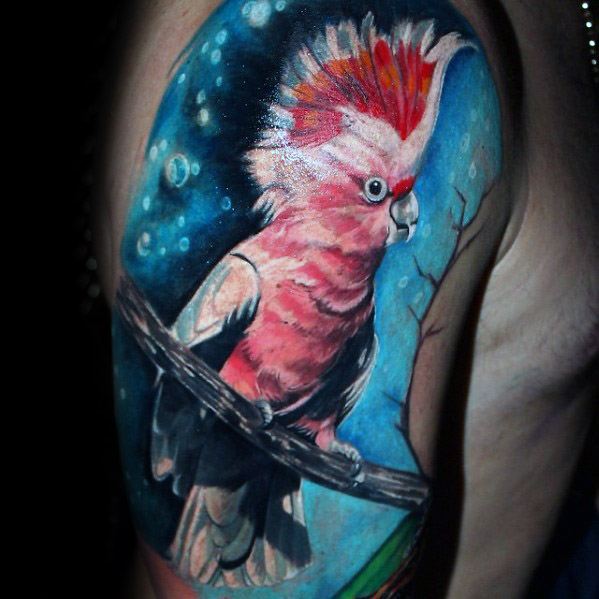 tatuagem papagaio 371