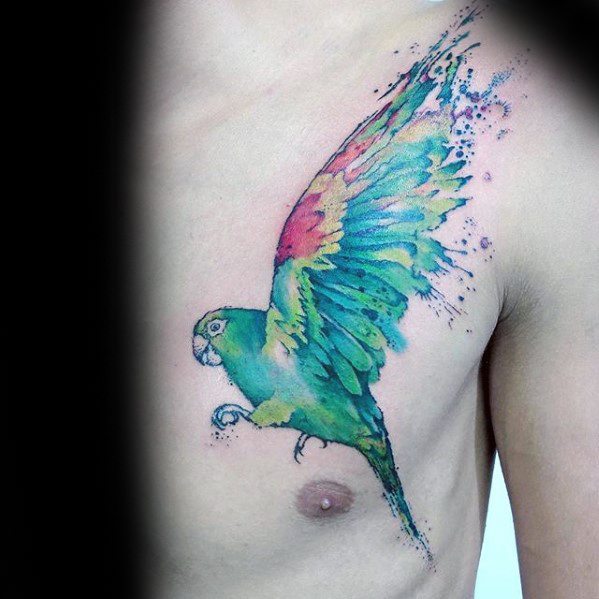 tatuagem papagaio 383