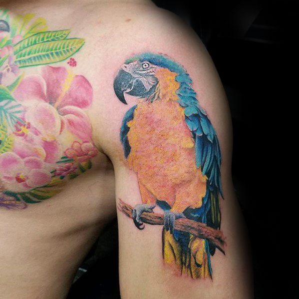 tatuagem papagaio 389