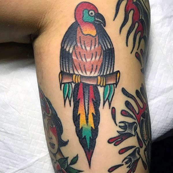 tatuagem papagaio 398