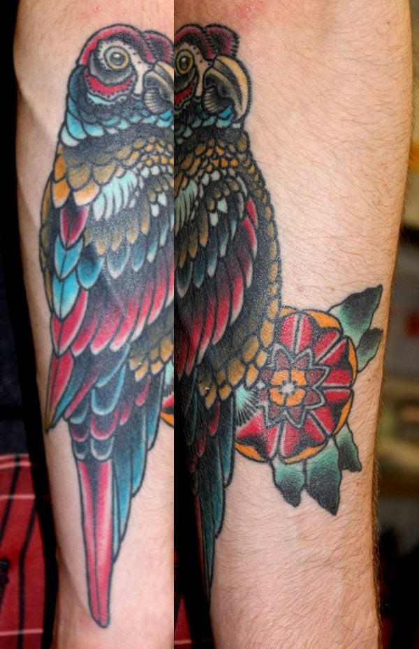 tatuagem papagaio 413