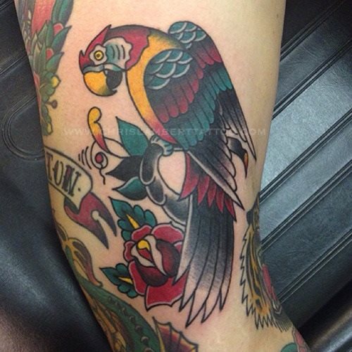 tatuagem papagaio 425