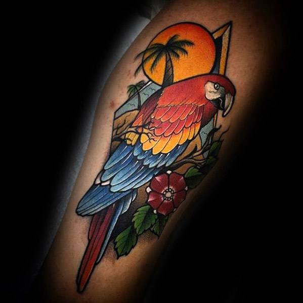 tatuagem papagaio 431