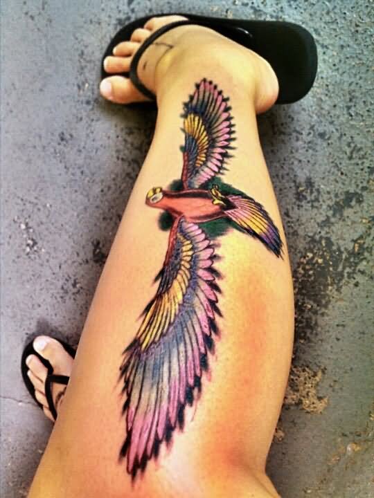 tatuagem papagaio 434