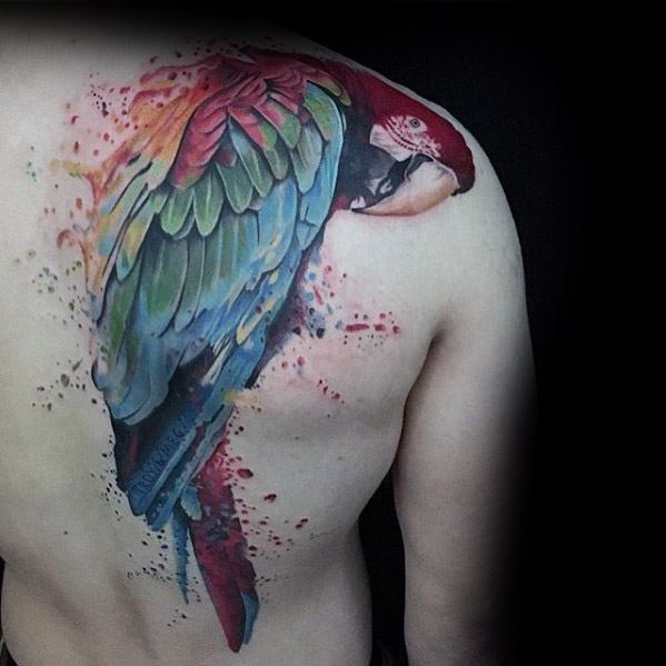 tatuagem papagaio 44