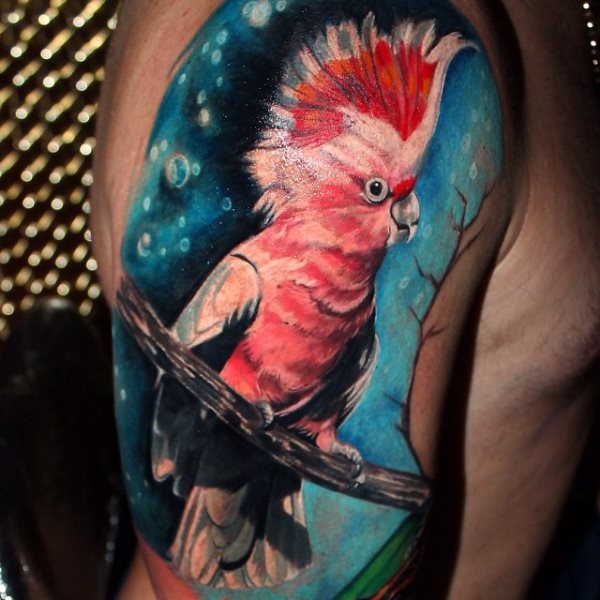 tatuagem papagaio 446