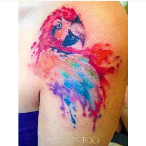 tatuagem papagaio 452