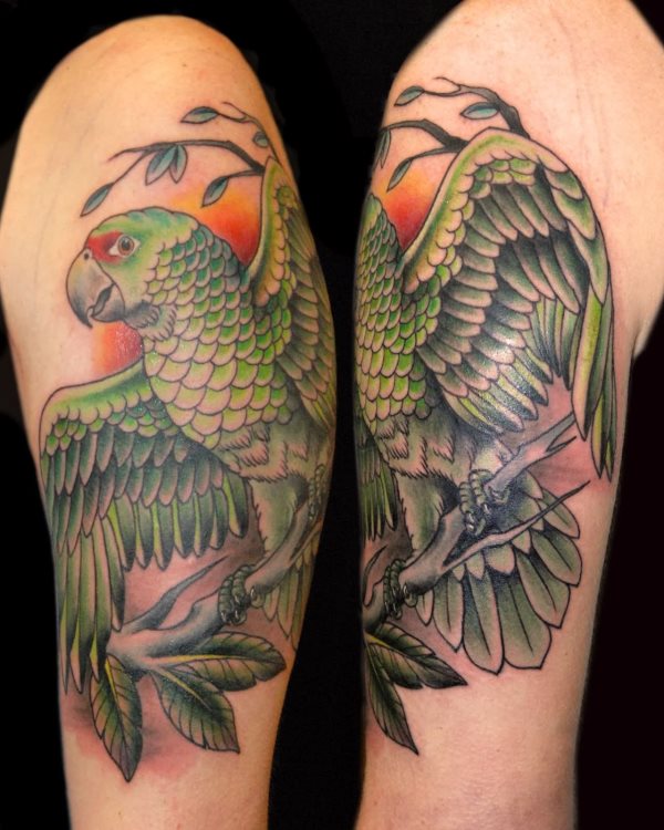 tatuagem papagaio 47