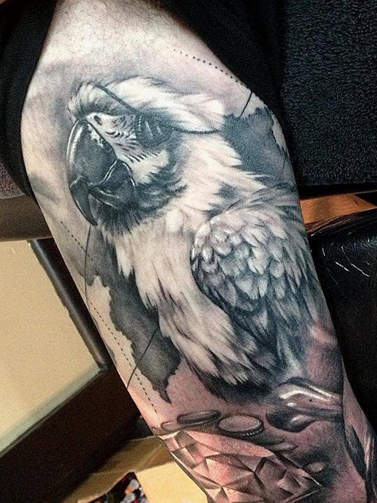tatuagem papagaio 62