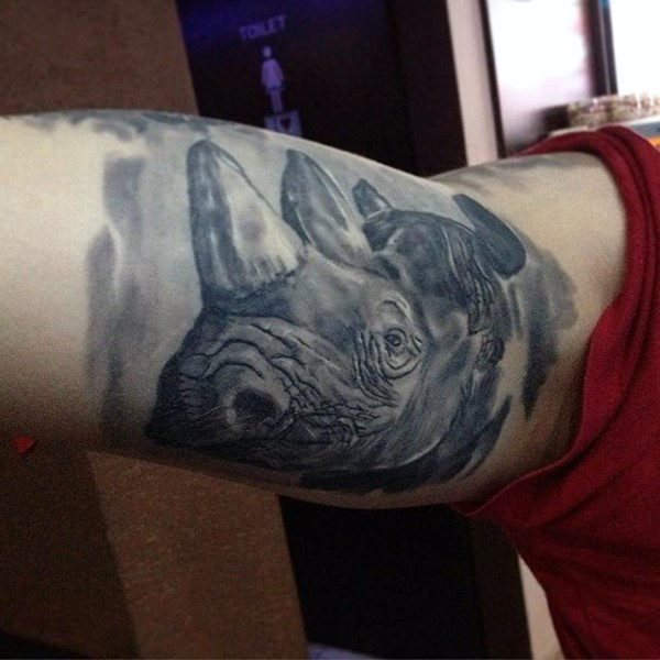 tatuagem rinoceronte 245