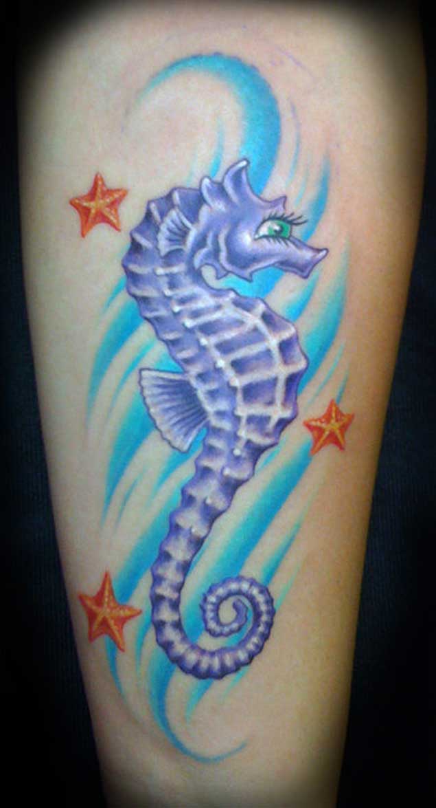 tatuagem cavalo marinho 218