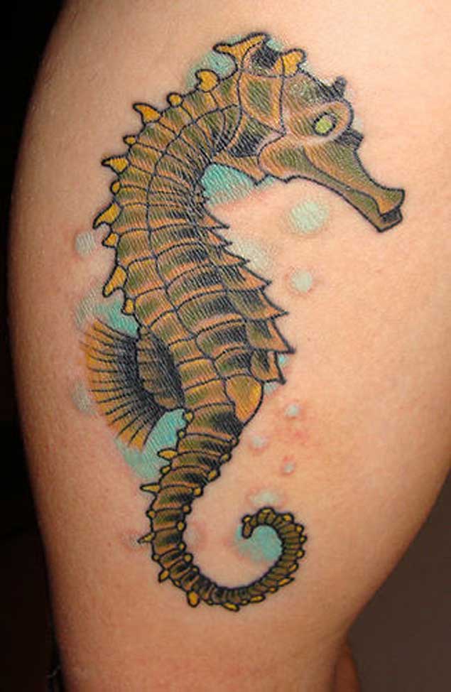 tatuagem cavalo marinho 254