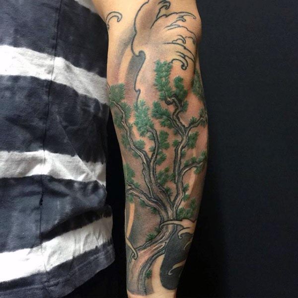 tatuagem bonsai 66