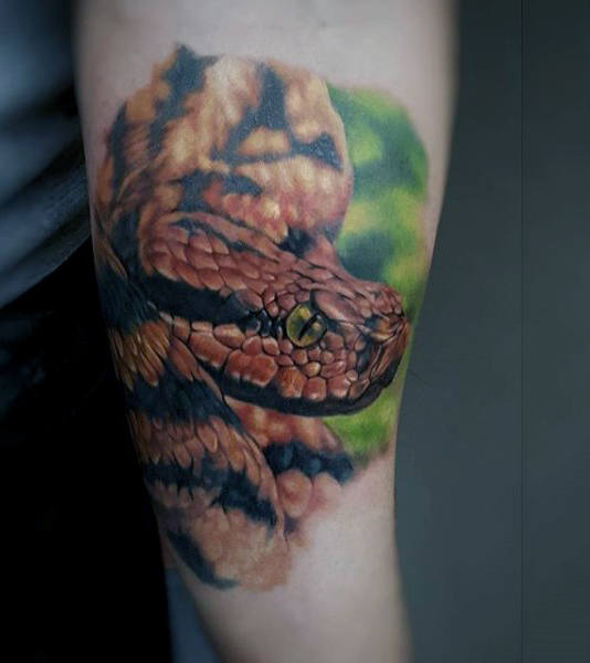 tatuagem animal 16