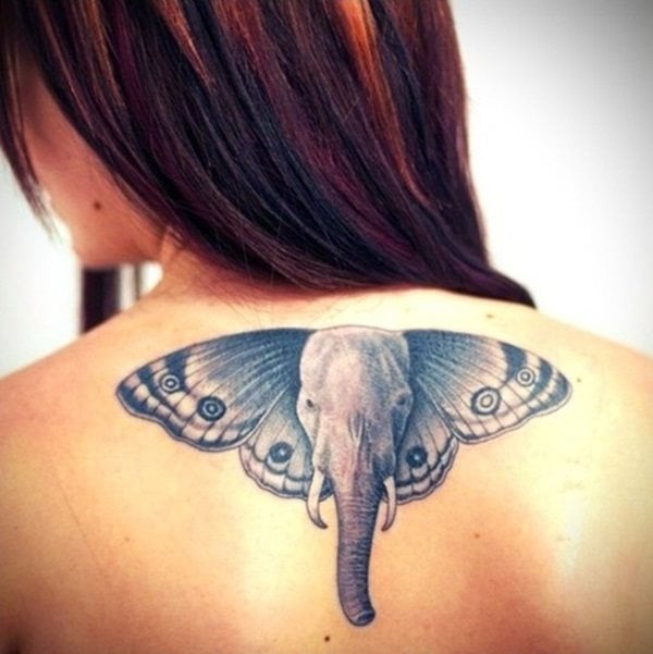 tatuagem elefante 545