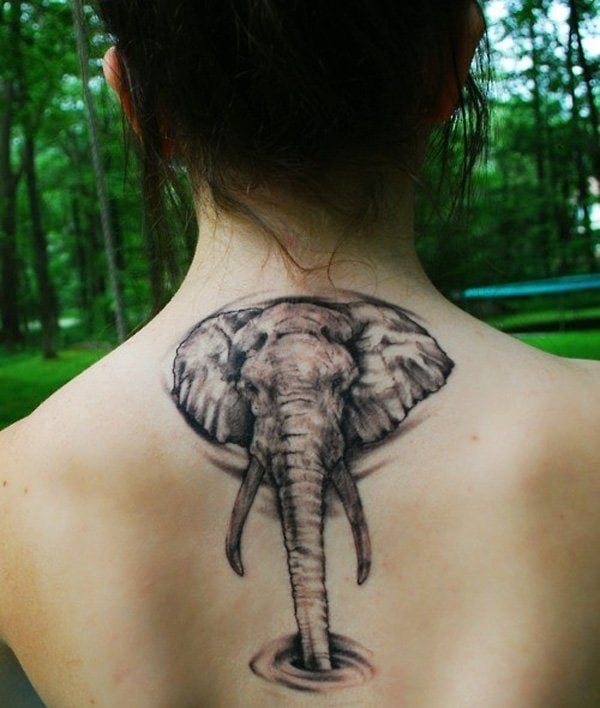 tatuagem elefante 805