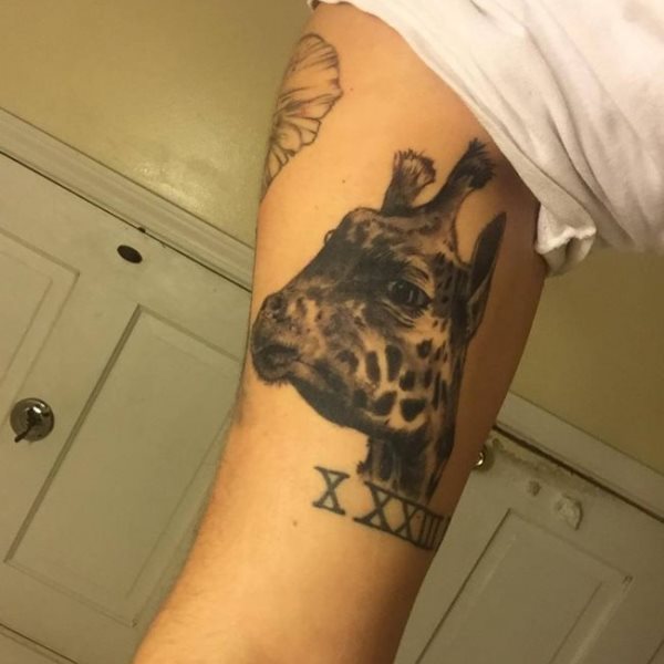 tatuagem girafa 104