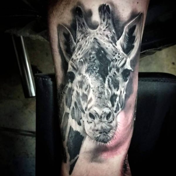 tatuagem girafa 114