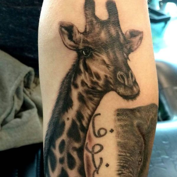 tatuagem girafa 126