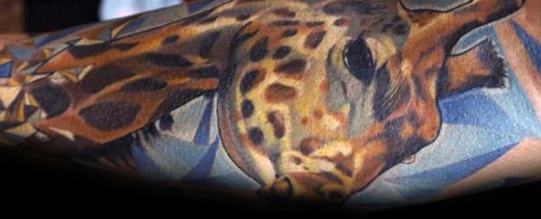 tatuagem girafa 216