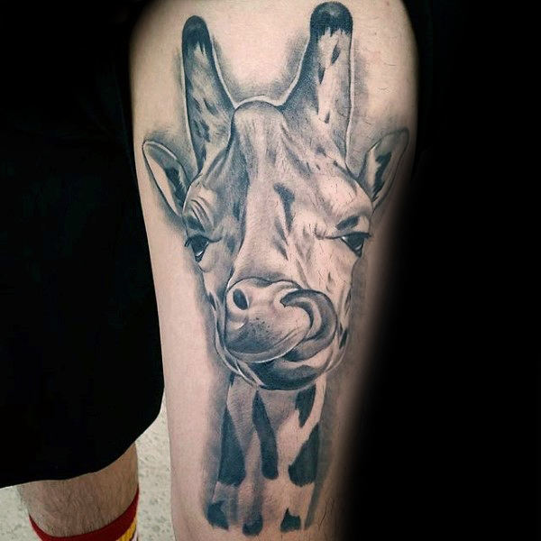 tatuagem girafa 218