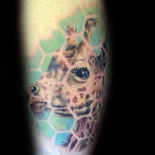 tatuagem girafa 264