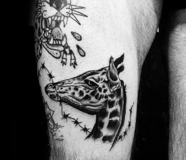 tatuagem girafa 286