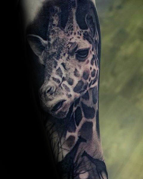 tatuagem girafa 290
