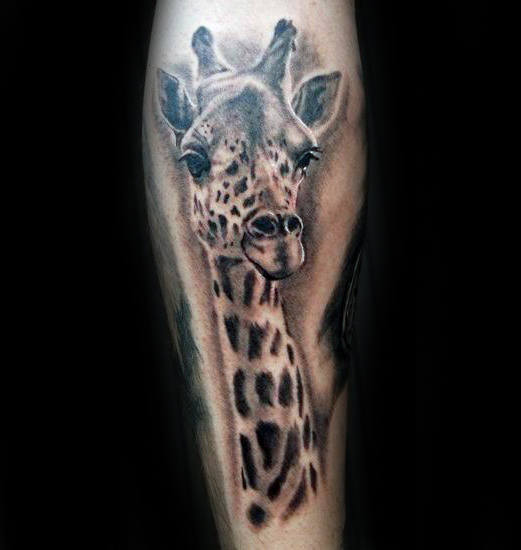 tatuagem girafa 306