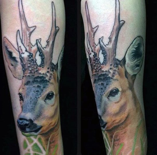 tatuagem cervo 312