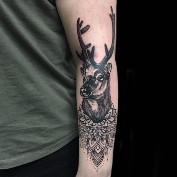 tatuagem cervo 54