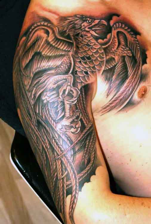 tatuagem fenix 114