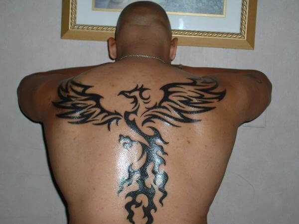tatuagem fenix 290
