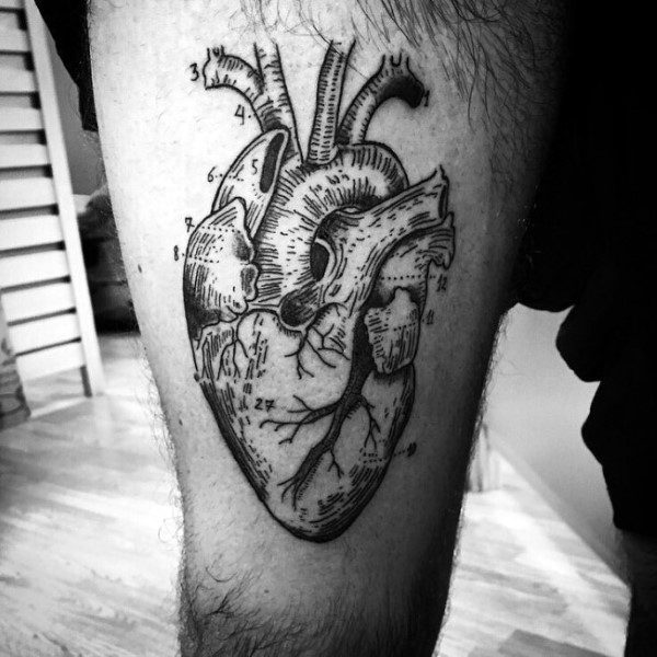 tatuagem coracao anatomico realista 131