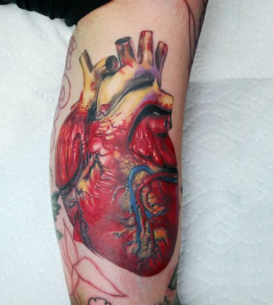 tatuagem coracao anatomico realista 185