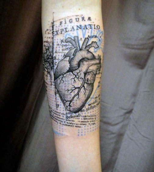 tatuagem coracao anatomico realista 21