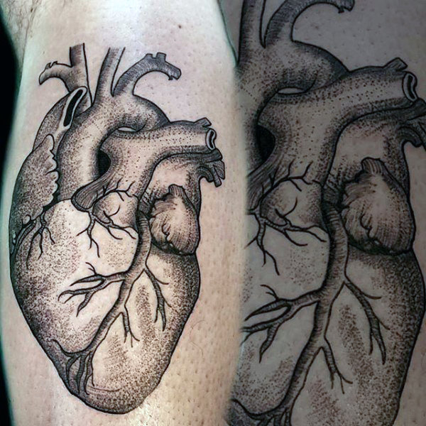 tatuagem coracao anatomico realista 29