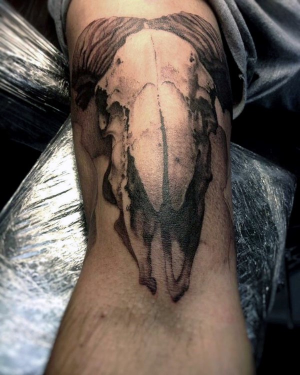 tatuagem carneiro 100