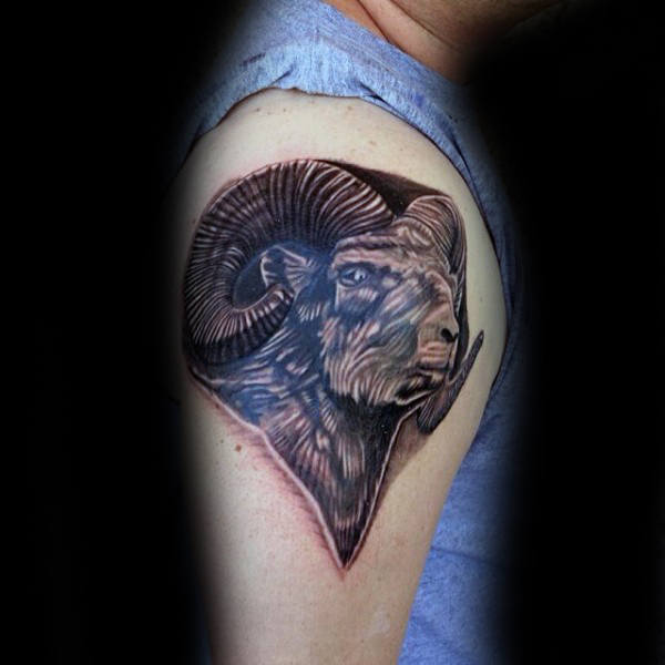 tatuagem carneiro 120