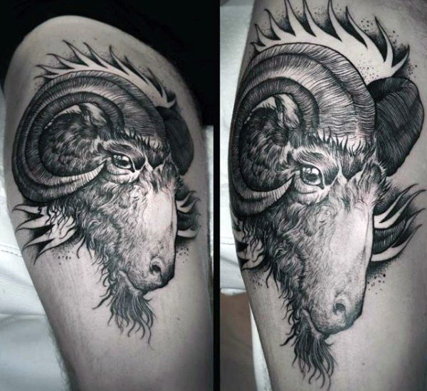 tatuagem carneiro 148