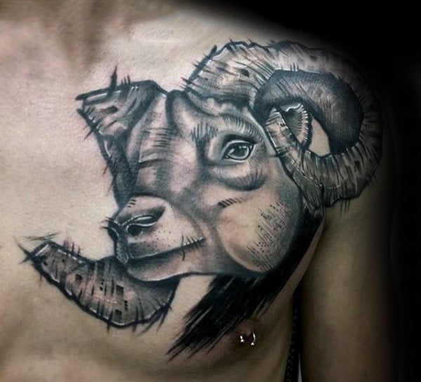 tatuagem carneiro 150