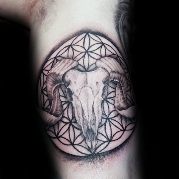 tatuagem carneiro 162