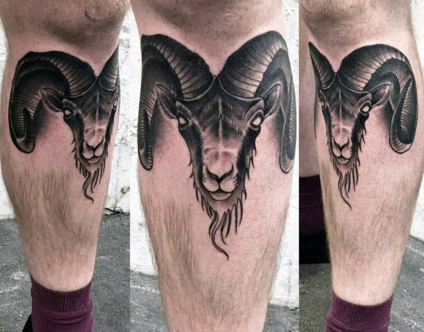 tatuagem carneiro 166